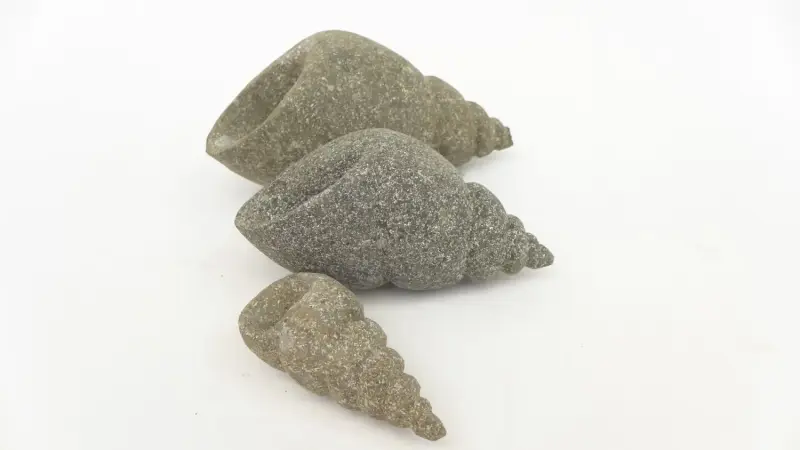 Product image 1 of the product “Snail shell, turned, in the size from 10 to 20cm, basanite, natural ”